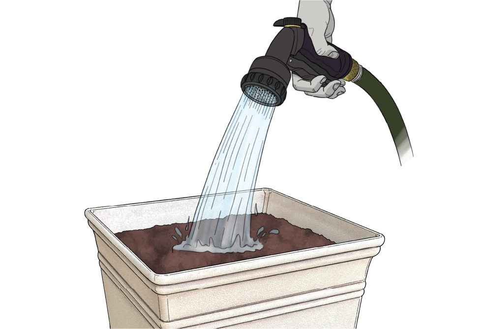 Asset 4@3x.png